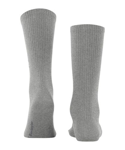 FALKE Burlington Boston Herren