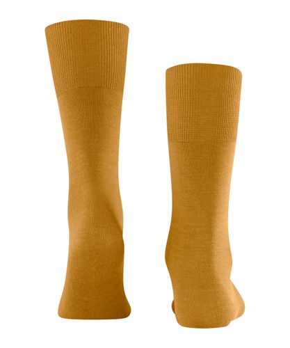 FALKE FALKE Airport Herren