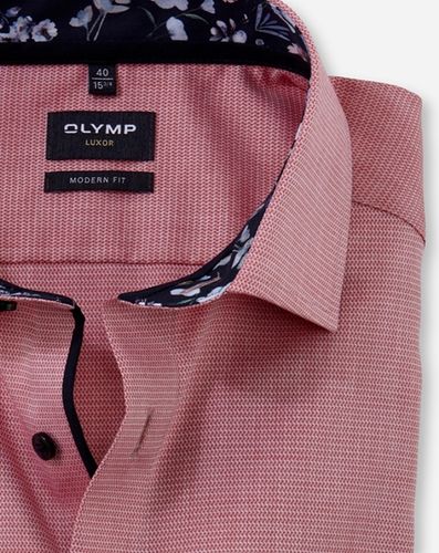 OLYMP OLYMP Luxor