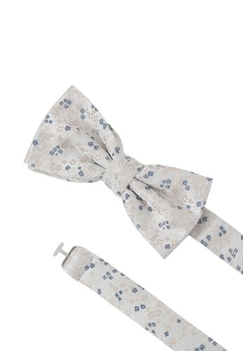 SEIDENFALTER Set Fliege + Einstecktuch