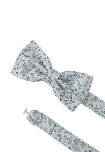 SEIDENFALTER Set Fliege + Einstecktuch