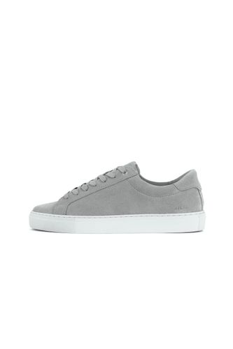 DIGEL Summer 46