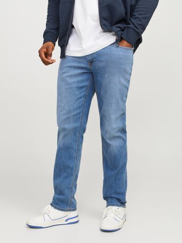 JACK & JONES JJIGLENN JJORIGINAL CB 815 NOOS PLS