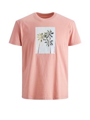 ONLY CARMAKOMA JACK&JONES JORDYLANT TEE SS CREW NECK
