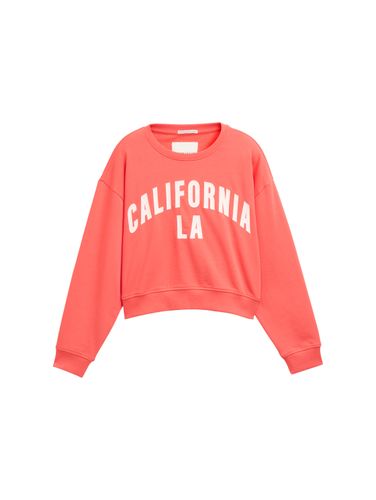 TOM TAILOR Cropped Sweatshirt mit Print