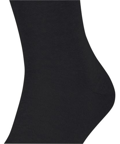 FALKE FALKE Panama Herren