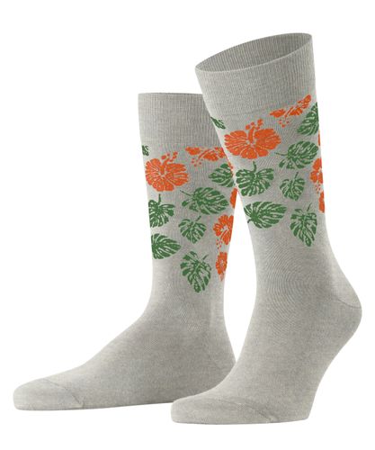 FALKE Burlington Aloha Breeze Herren Default Title