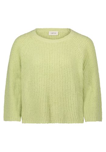 CARTOON Strickpullover