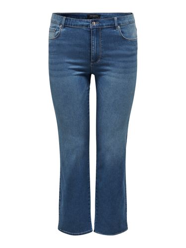 CARAUGUSTA HW STRAIGHT DNM BJ369