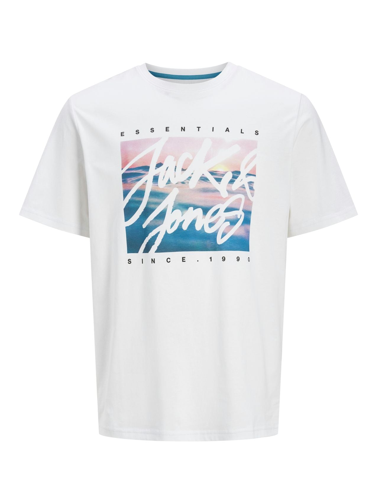 JACK & JONES JJCOLTON PHOTOPRINT TEE SS CREW NE PLS EU3XL US1XL