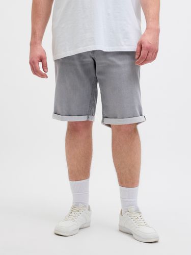 JACK & JONES JJIRICK JJICON I.K. SHORTS GE 063 SN PLS