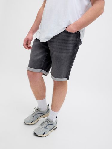 JACK & JONES JJIRICK JJICON I.K. SHORTS GE 062 SN PLS