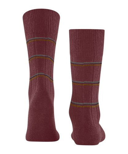 FALKE FALKE Lhasa Rib Special Edition Herren
