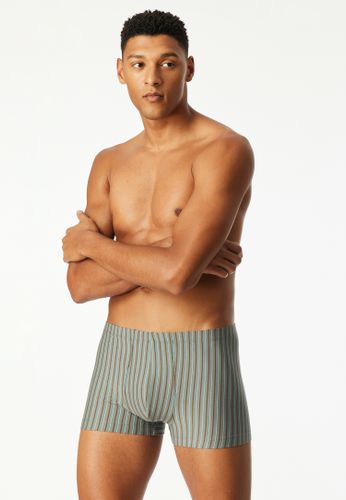 SCHIESSER 3PACK Shorts