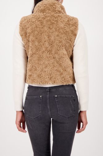 MONARI Weste, cognac