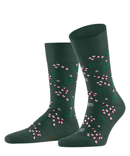 FALKE FALKE Gift Blizzard Herren