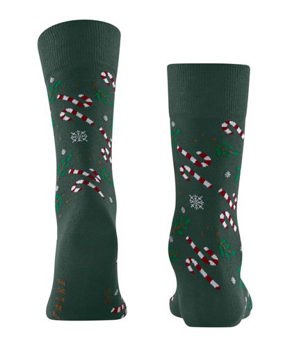 FALKE FALKE Gift Blizzard Herren