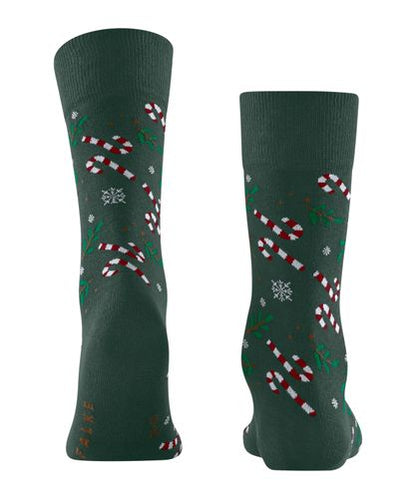 FALKE FALKE Gift Blizzard Herren