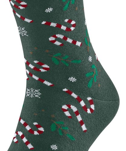 FALKE FALKE Gift Blizzard Herren