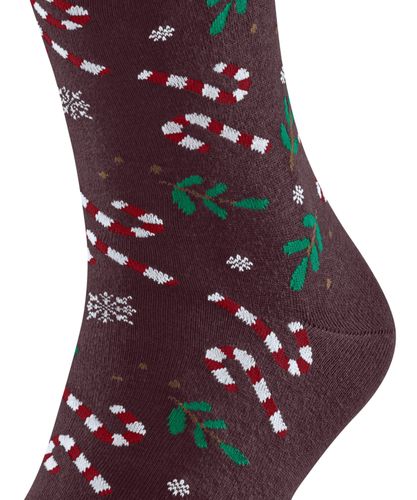 FALKE FALKE Gift Blizzard Herren