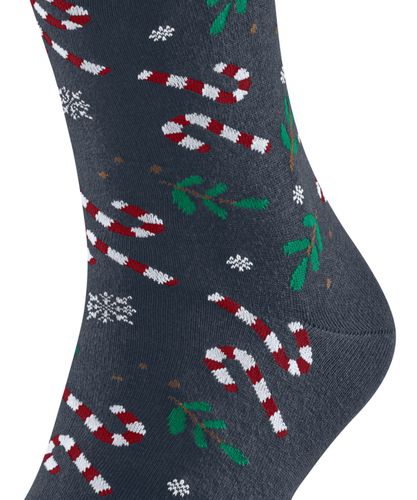 FALKE FALKE Gift Blizzard Herren