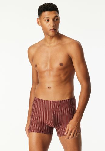 SCHIESSER 3PACK Shorts