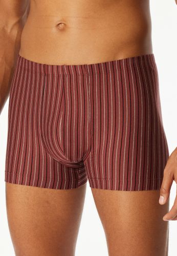 SCHIESSER 3PACK Shorts