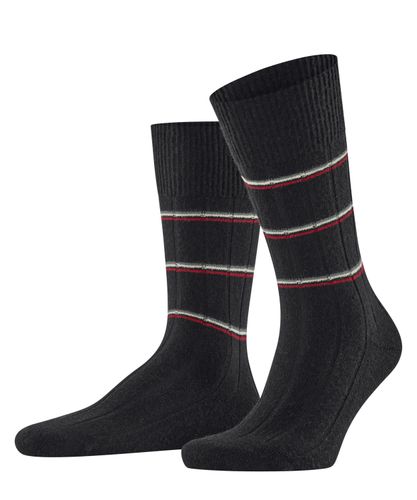 FALKE FALKE Lhasa Rib Special Edition Herren
