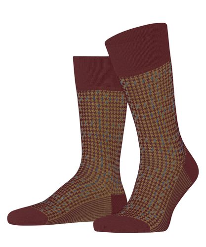 FALKE FALKE Family Special Edition Herren