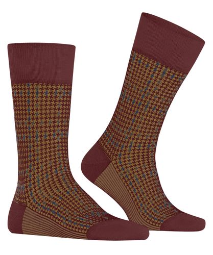 FALKE FALKE Family Special Edition Herren