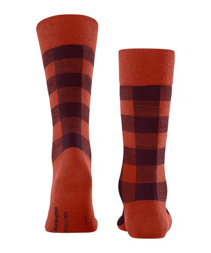 BURLINGTON Burlington Buffalo Check Herren