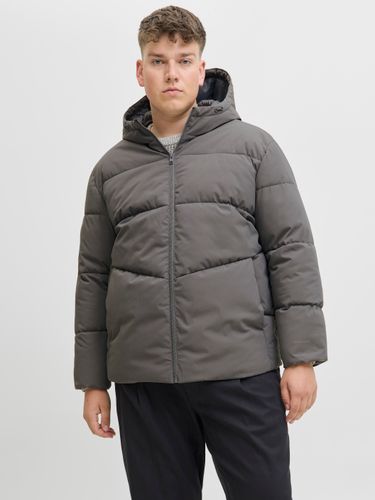 JACK & JONES JJGLOBAL PUFFER JACKET PLS