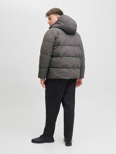JACK & JONES JJGLOBAL PUFFER JACKET PLS