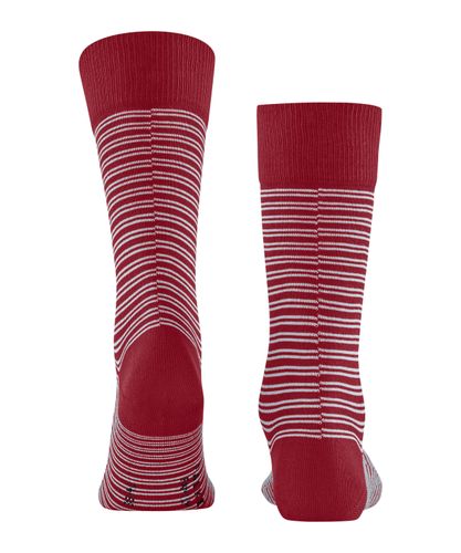 FALKE FALKE Family Special Edition Herren