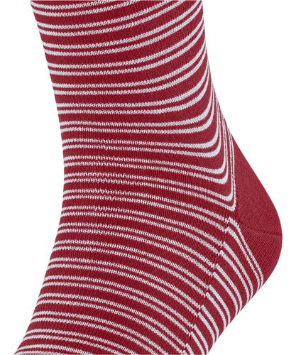 FALKE FALKE Family Special Edition Herren