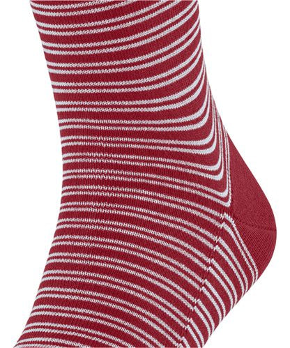 FALKE FALKE Family Special Edition Herren