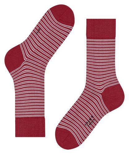 FALKE FALKE Family Special Edition Herren