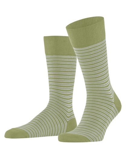 FALKE FALKE Family Special Edition Herren
