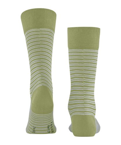 FALKE FALKE Family Special Edition Herren