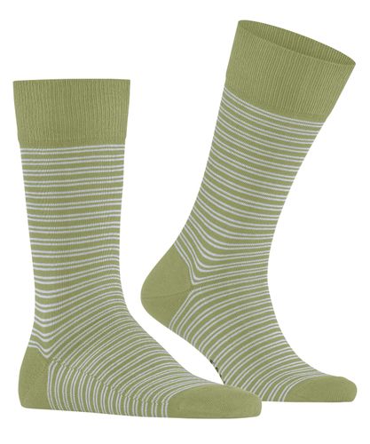 FALKE FALKE Family Special Edition Herren