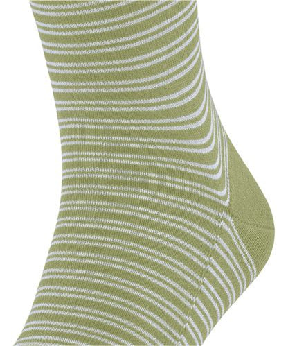 FALKE FALKE Family Special Edition Herren