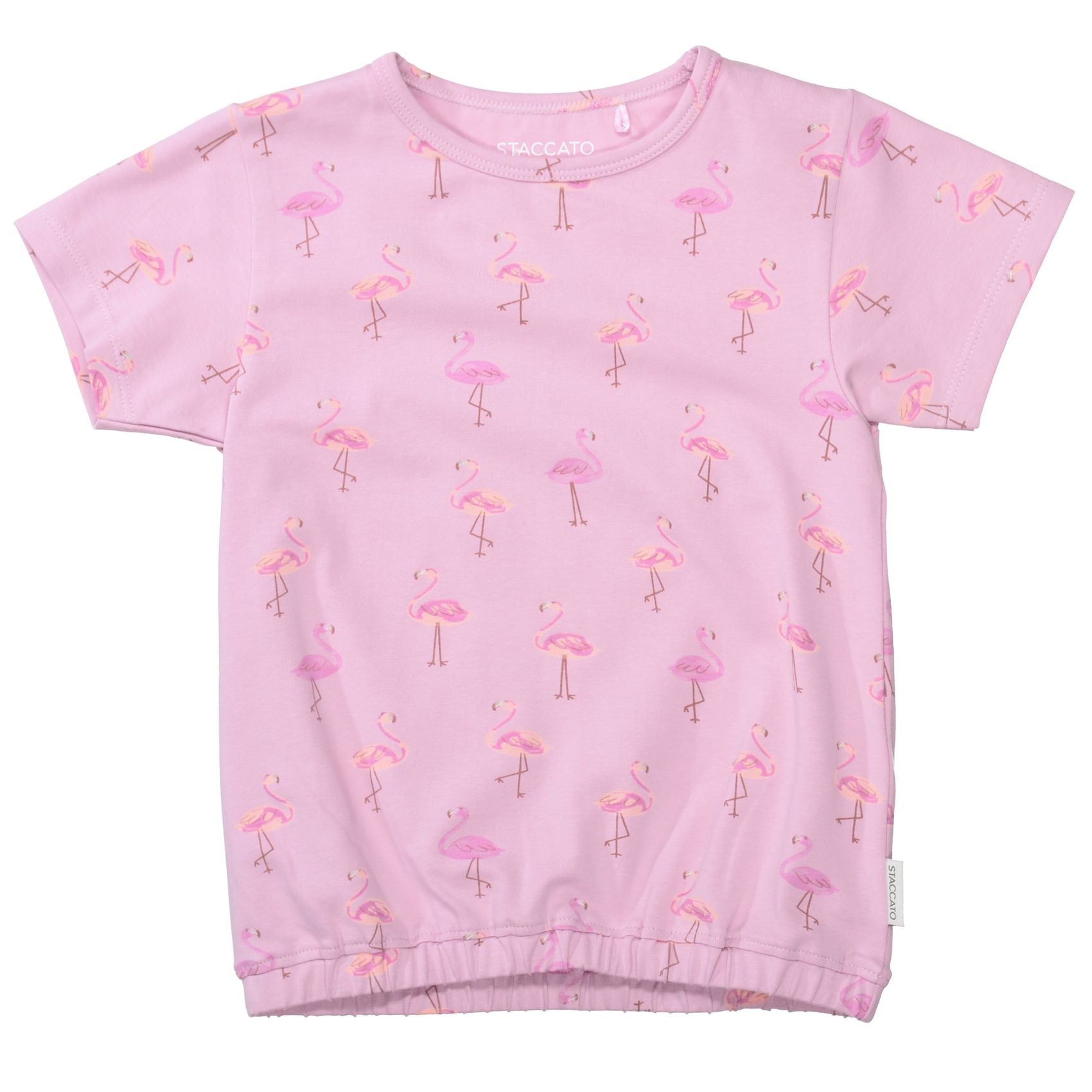 STACCATO Md.-T-Shirt