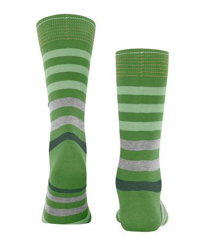 FALKE Burlington Blackpool Herren