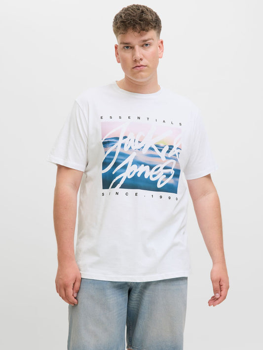 JACK & JONES JJCOLTON PHOTOPRINT TEE SS CREW NE PLS