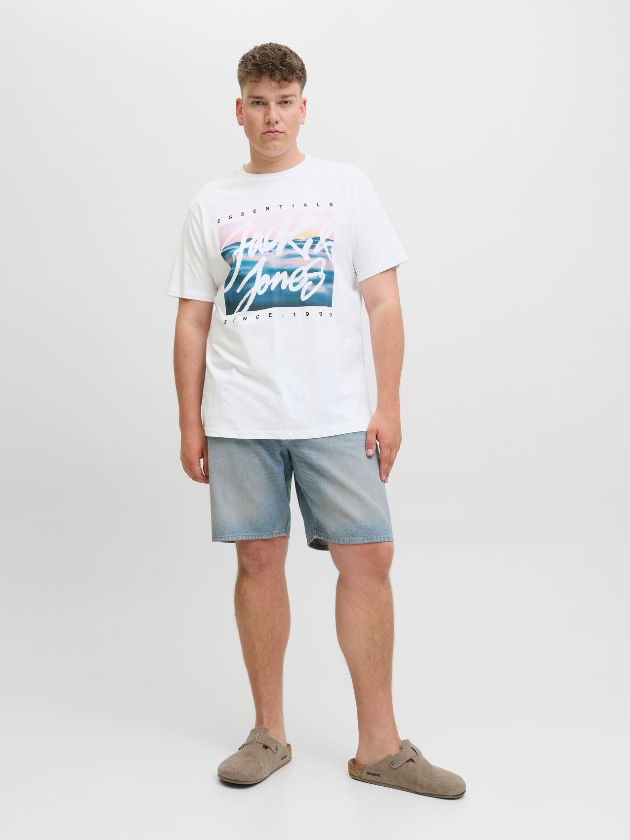 JACK & JONES JJCOLTON PHOTOPRINT TEE SS CREW NE PLS