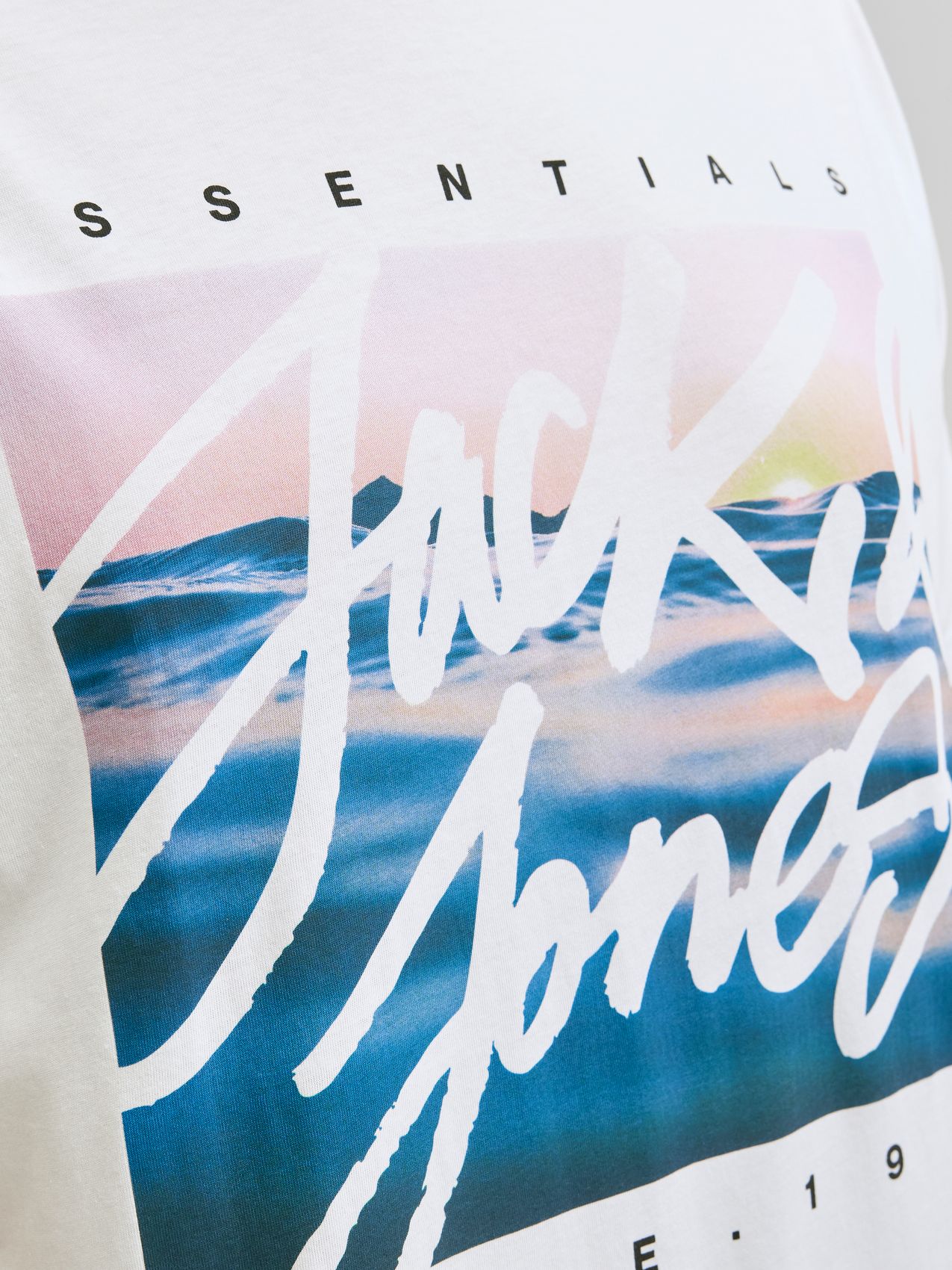 JACK & JONES JJCOLTON PHOTOPRINT TEE SS CREW NE PLS
