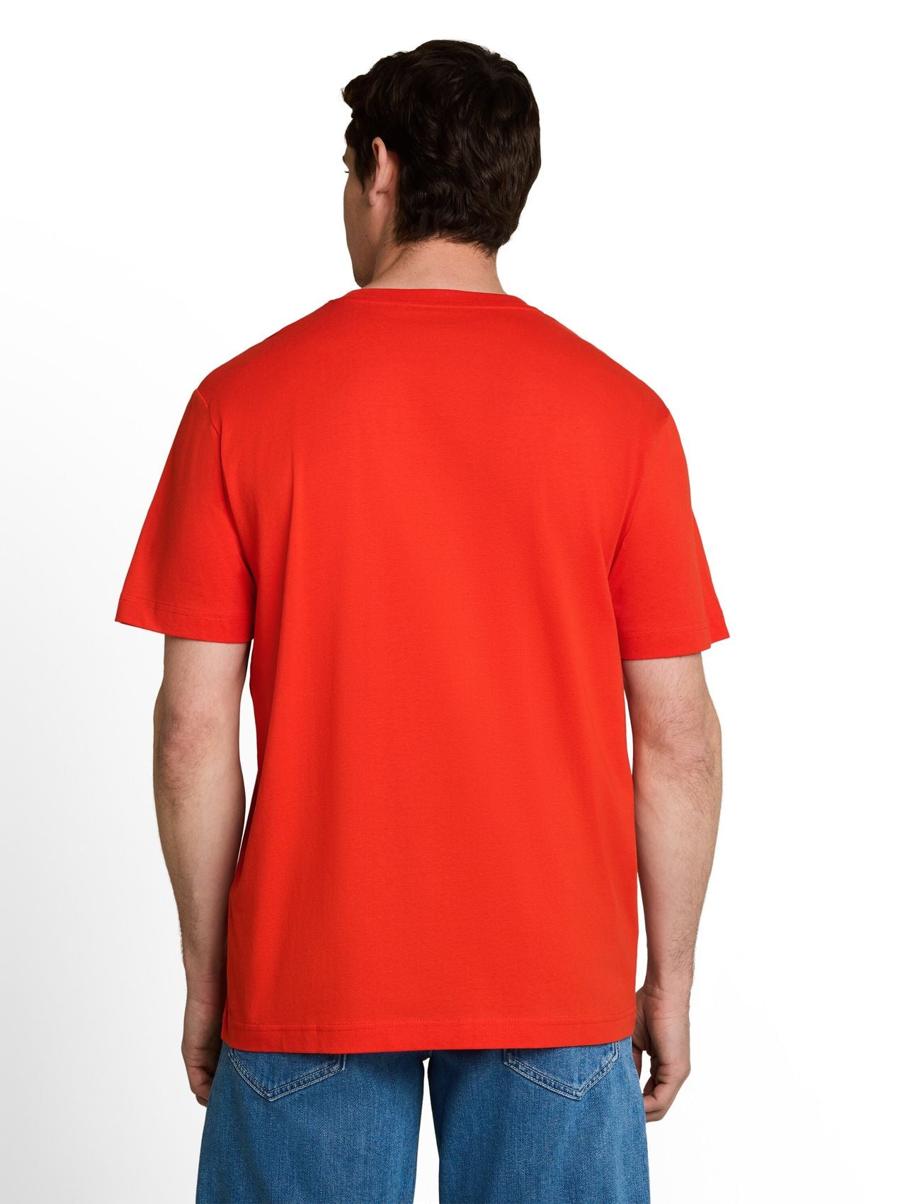TOM TAILOR T-Shirt mit Print