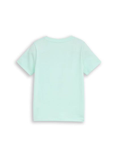 TOM TAILOR T-Shirt mit Foto-Print