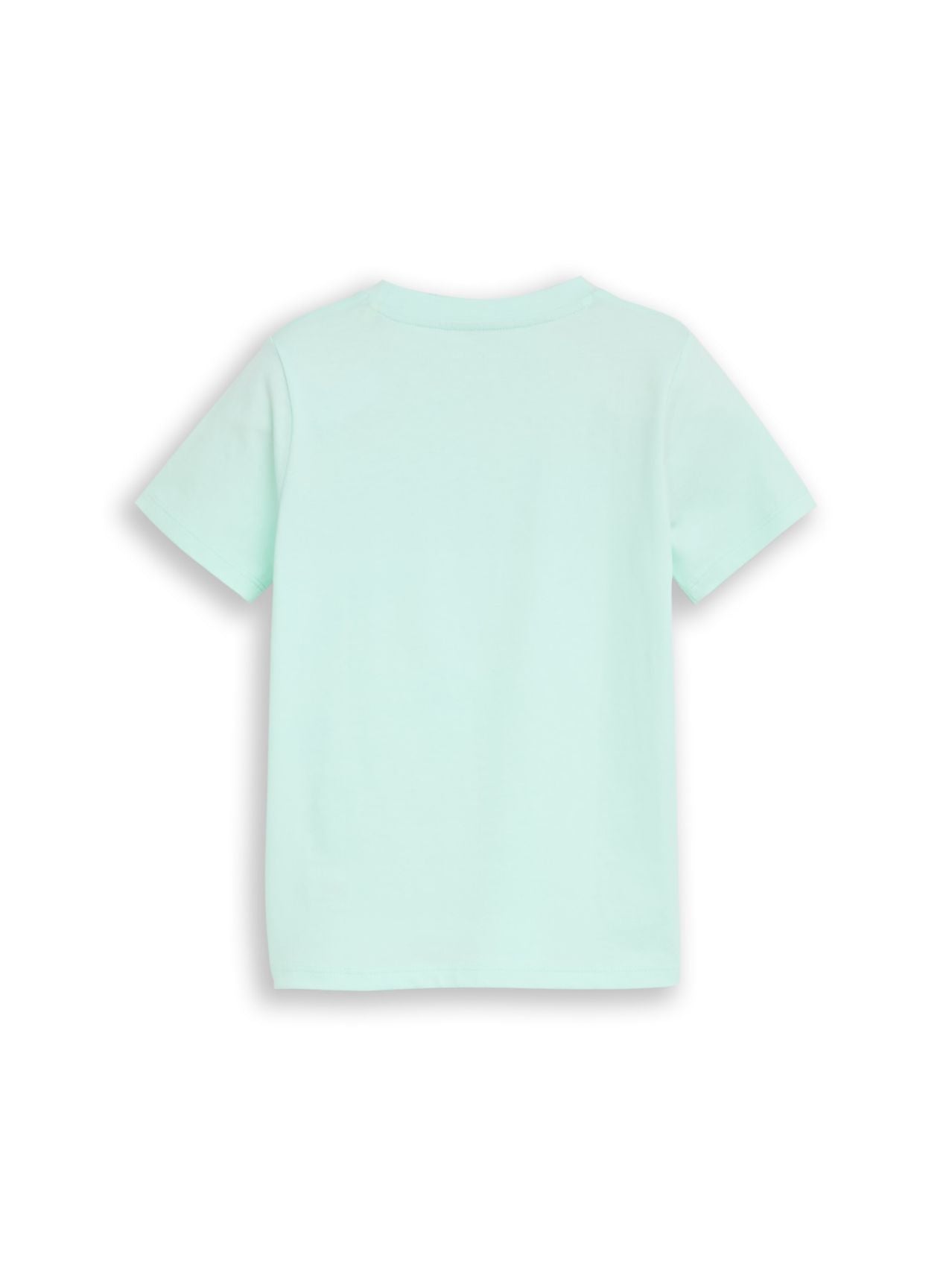 TOM TAILOR T-Shirt mit Foto-Print