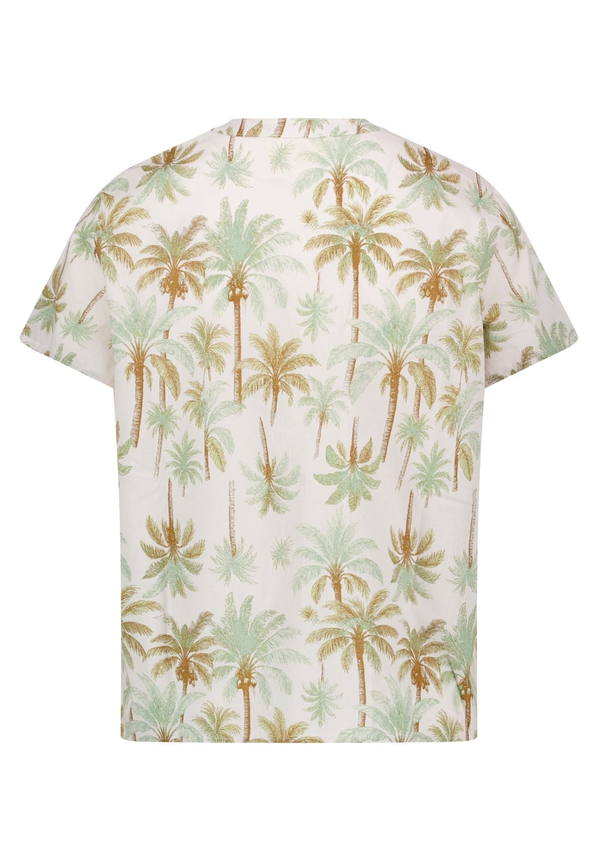 Blusenshirt